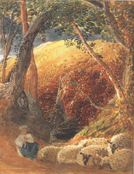 Samuel Palmer The Magic Apple Tree